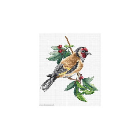 Luca-S, kit Goldfinch bird (LUCASB1197)