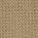 Zweigart, Aïda 20, 8 points/cm beige (3326-309)