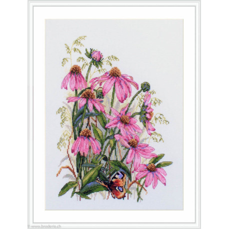 Merejka, kit Coneflowers (MEK-124)