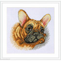 Merejka, kit French Bulldog (MEK-114)