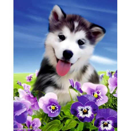 ArtCity, kit diamant Husky in flowers (ACDP008)