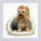 Riolis, kit Yorkshire Terrier (RI2152)