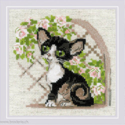 Riolis, kit Cornish Rex Kitten (RI2121)