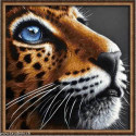 Artibalta, kit diamant a Blue-eyed leopard (AM-4022)