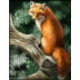 Artibalta, kit diamant a Fox on a tree (AM-4042)