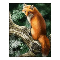 Artibalta, kit diamant a Fox on a tree (AM-4042)