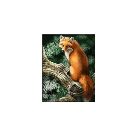 Artibalta, kit diamant a Fox on a tree (AM-4042)