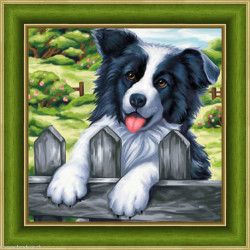 Artibalta, kit diamant Border collie (AZ-1609)