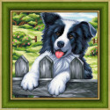 Artibalta, kit diamant Border collie (AZ-1609)