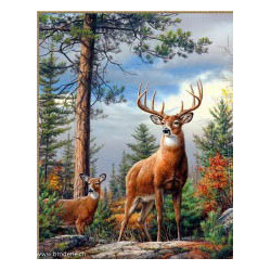 Artibalta, kit diamant Deer on the Sloap (AM-4008)