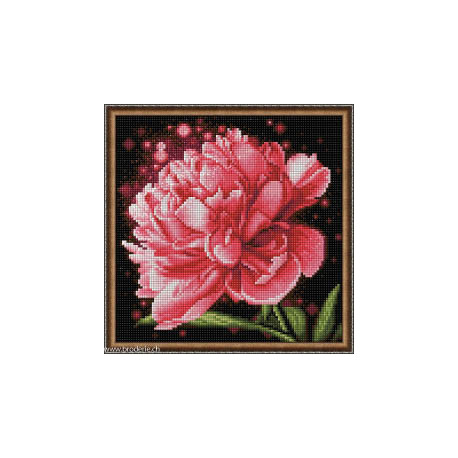 Artibalta, kit diamant Peonies (AZ-1784)