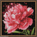 Artibalta, kit diamant Peonies (AZ-1784)