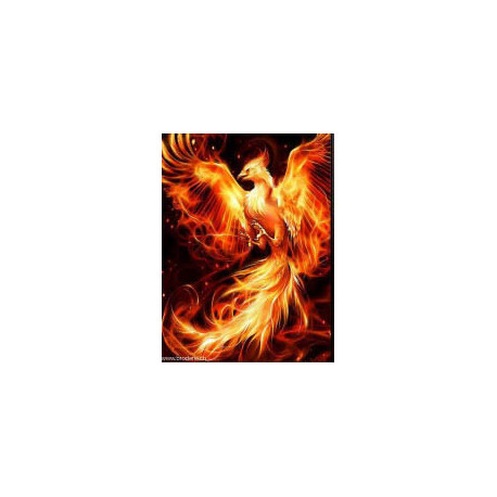 Artibalta, kit diamant phoenix en feu (AM-1853)