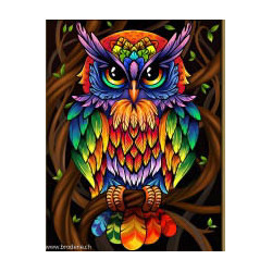 Artibalta, kit diamant Rainbow Owl (AM-1726)