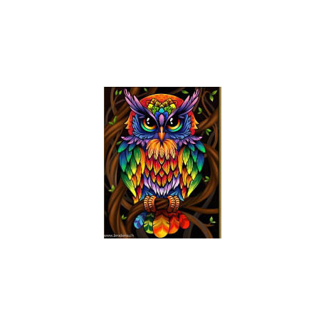 Artibalta, kit diamant Rainbow Owl (AM-1726)