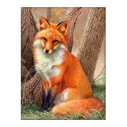 Artibalta, kit diamant Red Fox (AM-4063)