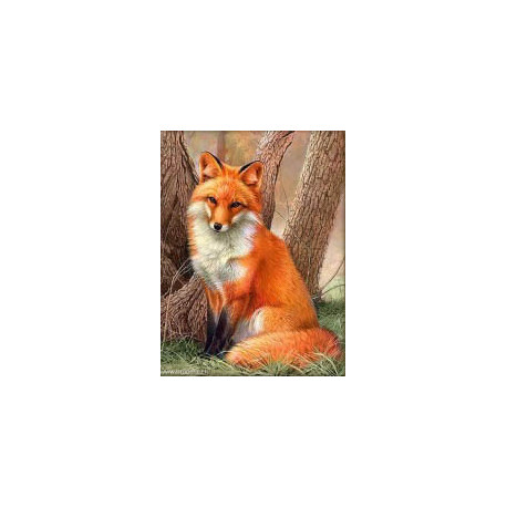 Artibalta, kit diamant Red Fox (AM-4063)