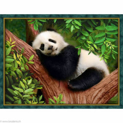 Artibalta, kit diamant Sleepy Panda (AZ-1826)