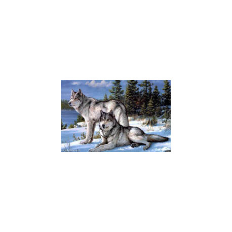 Artibalta, kit diamant Two Wolves (AM-4016)