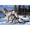 Artibalta, kit diamant Two Wolves (AM-4016)