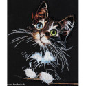 Abris Art, kit Fluffy kitten (AAH-062)