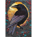 Abris Art, kit perles Black raven (AAB-904)