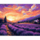 ArtCity, kit diamant Lavender at sunset (ACVA806)