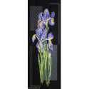 Abris Art, kit Japanese irises (AAH-151)