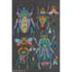 Abris Art, kit perles Beetles (AAB-730)