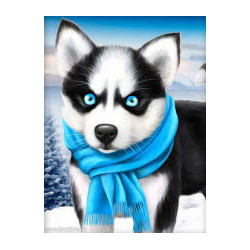 Artibalta, kit diamant Blue Eye Husky (AM-1540)