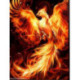 Artibalta, kit diamant phoenix en feu (AM-1853)