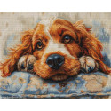 Luca-S, kit Cocker Spaniel (LUCASBU5058)