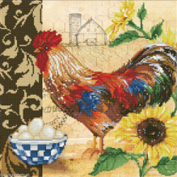 Diamond Dotz, kit diamant niveau 2 Country Rooster (DD9049)