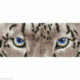 Diamond Dotz, kit diamant niveau 2 Snow Leopard Spy (DD5043)