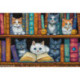 LetiStitch, kit Bookshelf (SLETIL9917)